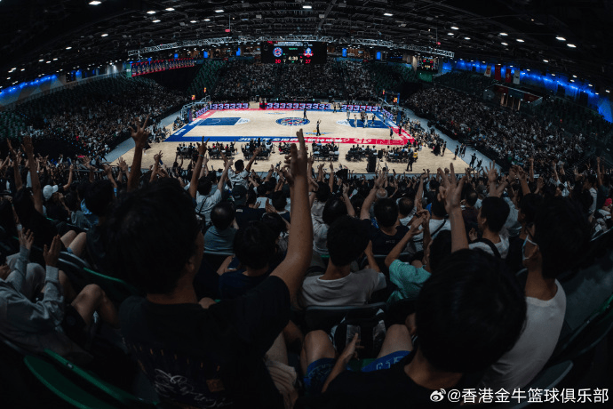 香港金牛更